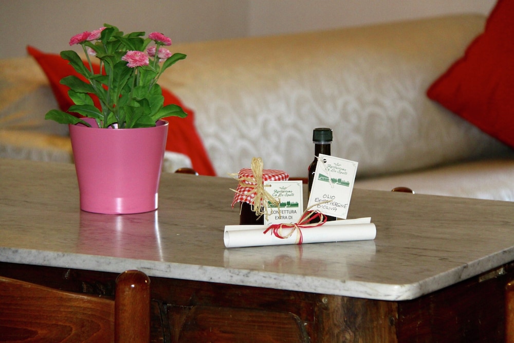 Apartment Between Pisa and Livorno