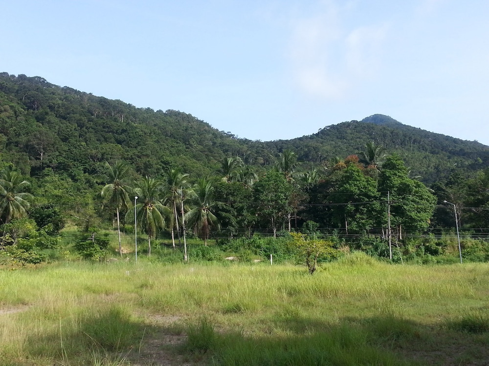 The Tree Madauwan