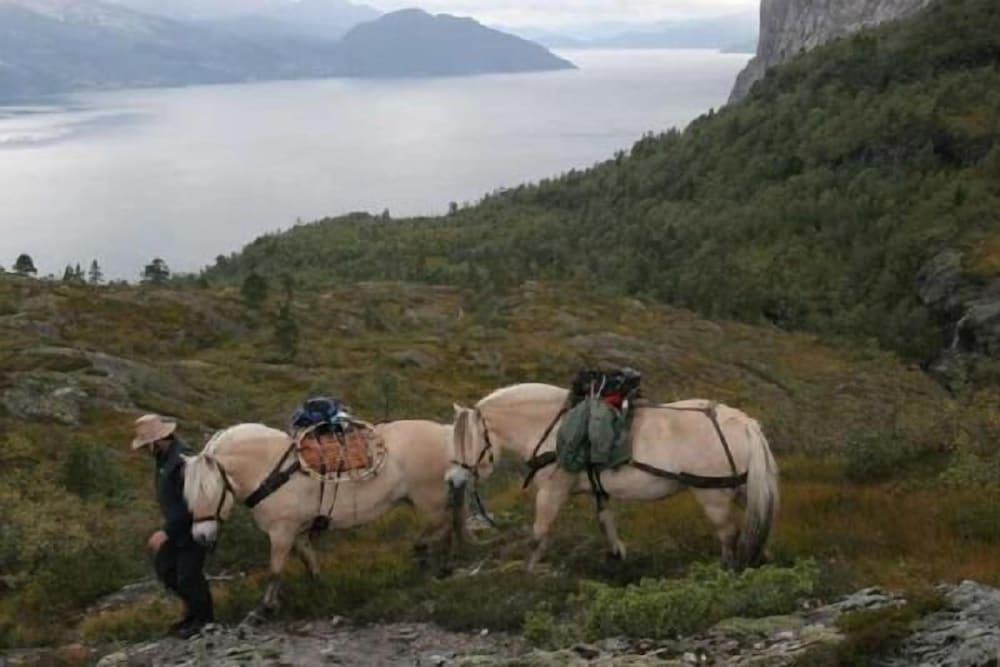 Voss fjellstove Rongastovo