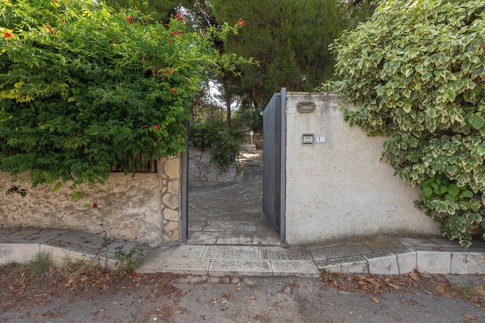 Photo 16