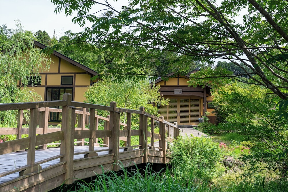 Tsuwabuki-no-Hana, Higashisonogi - 18