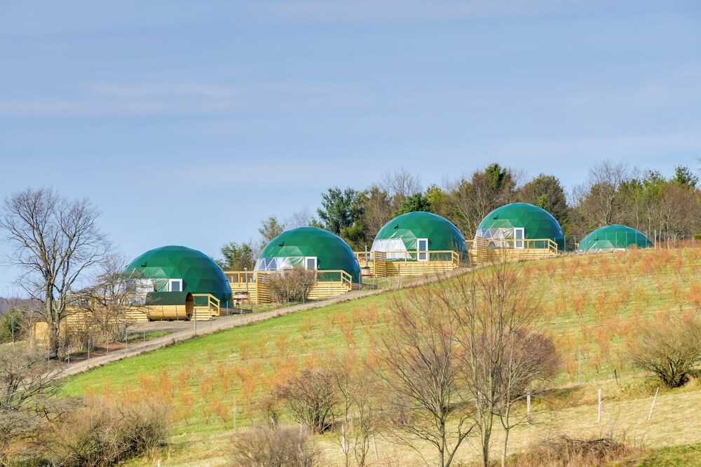 Catskills Glamping at The Deer Dome in Franklin!