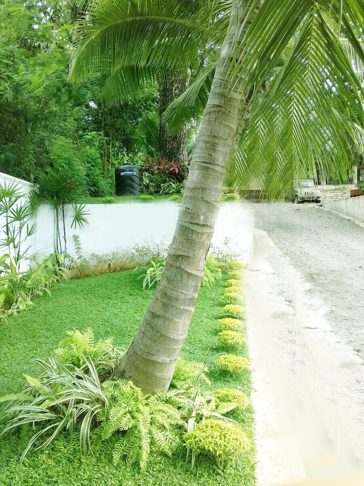 Photo 45