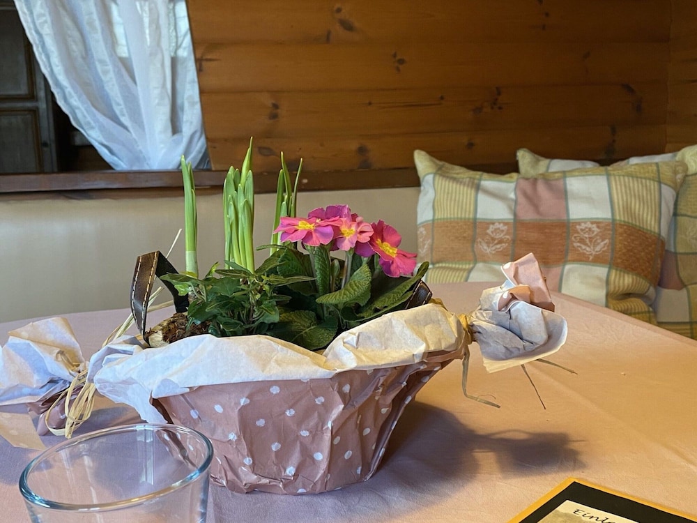 Blockhaus Mitten in der Natur