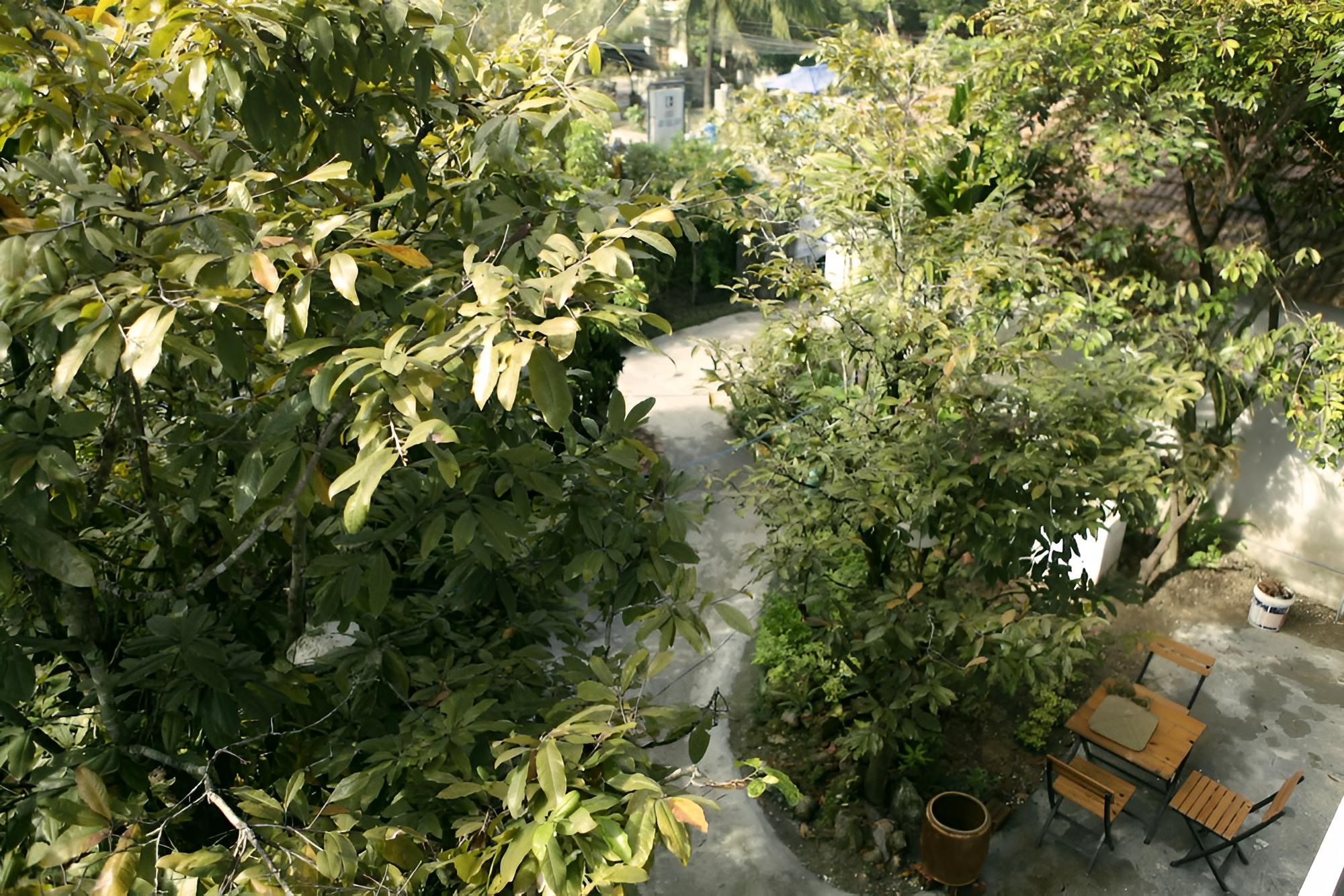 Photo 44