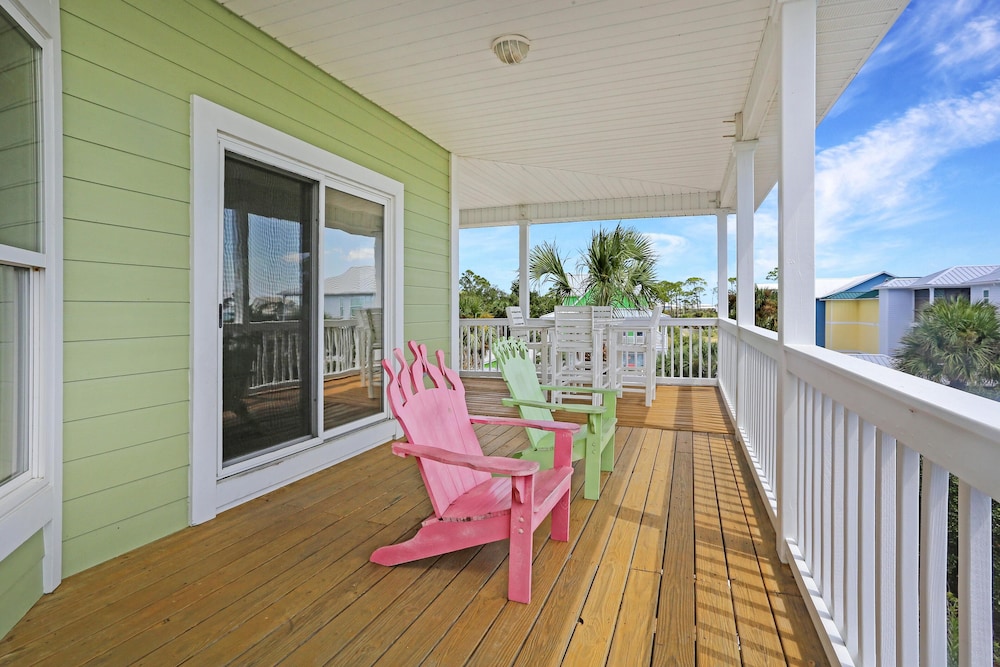 Cape Palms