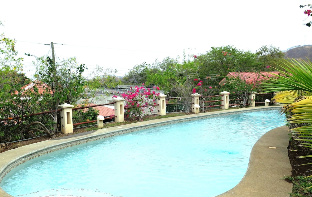 Tropical Gardens