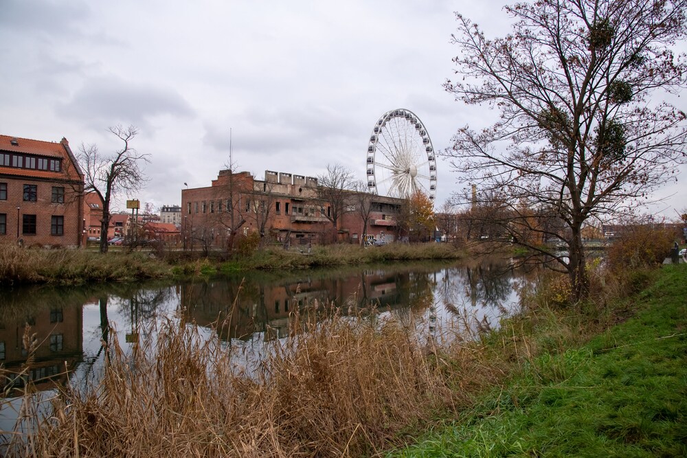 Photo 43