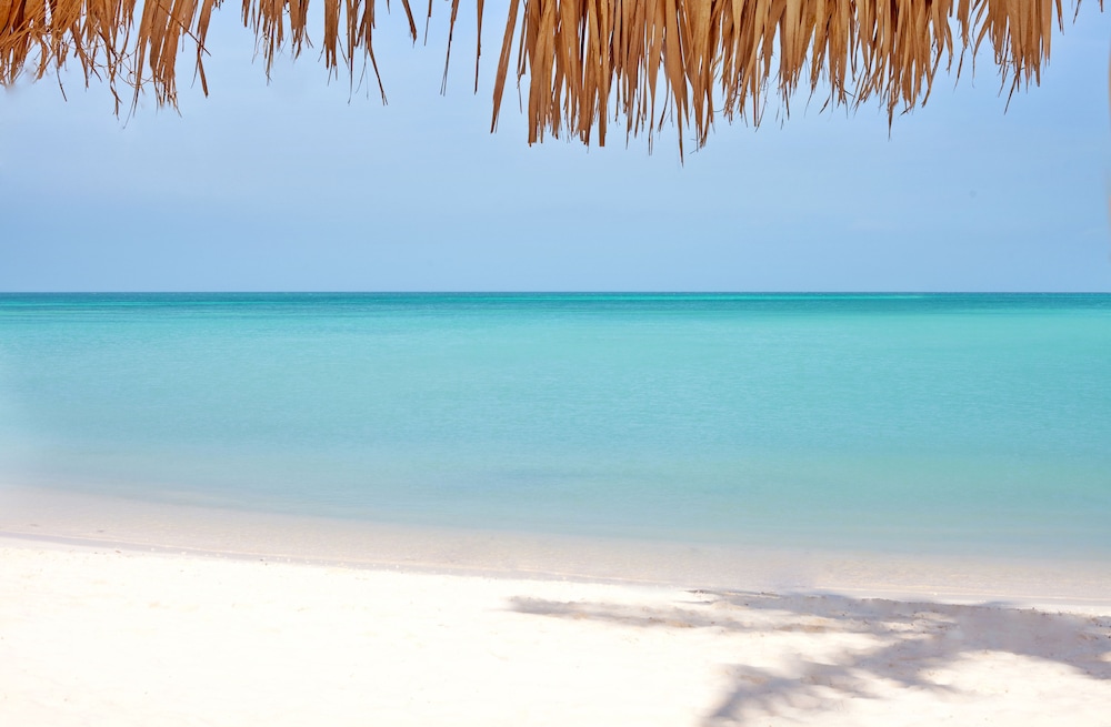All Inclusive Holiday Inn Resort Aruba - Property Image 56