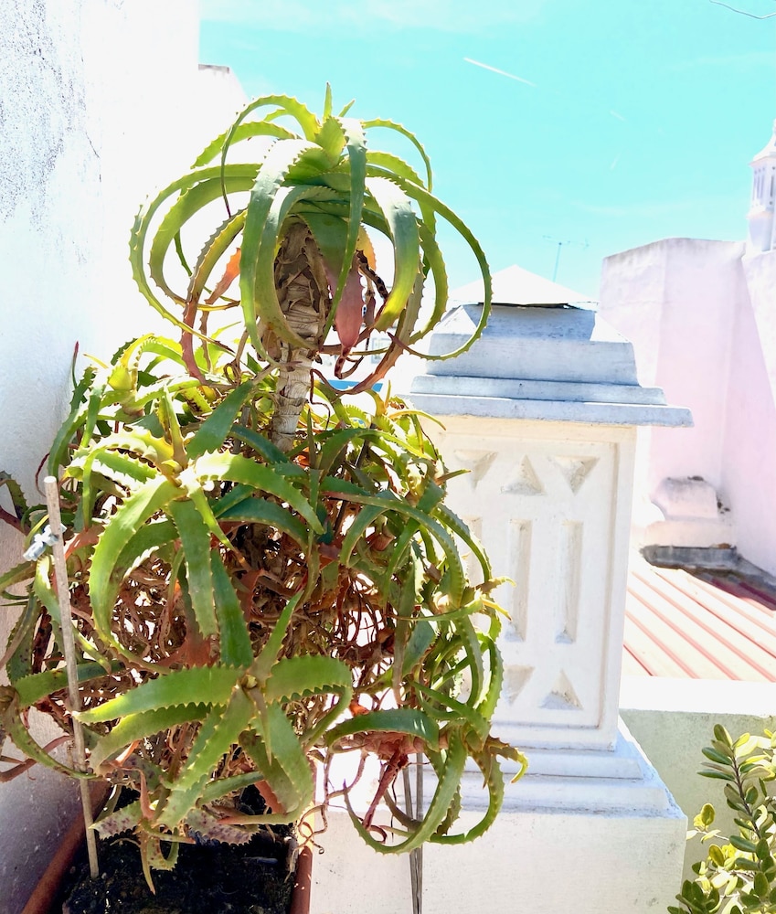 Zenit Guest House