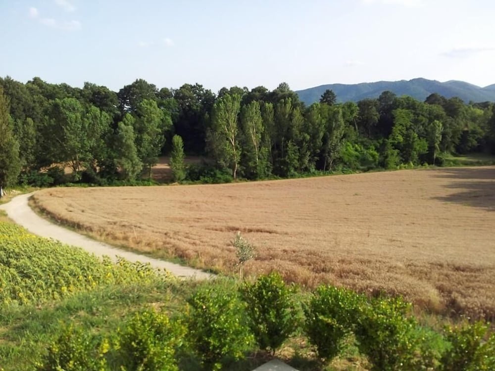 Agriturismo La Collina del Sole