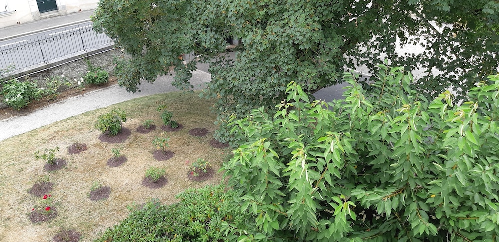 Photo 26