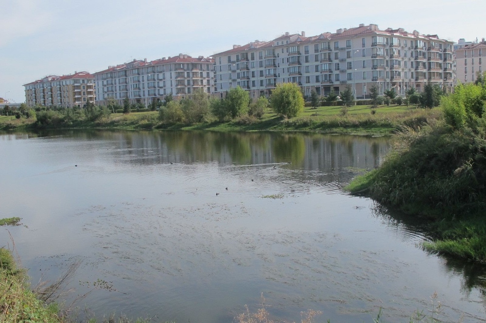 Photo 38