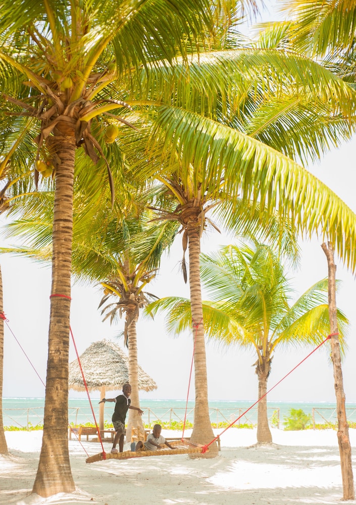 Bwejuu Beach Palm Villa
