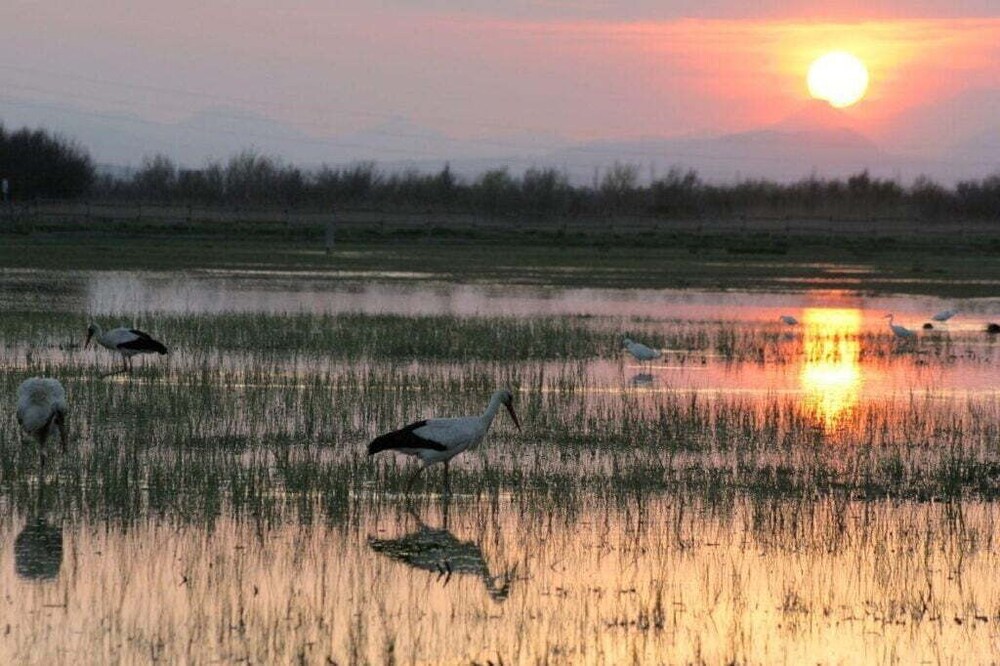 Somnis de l'Empordà