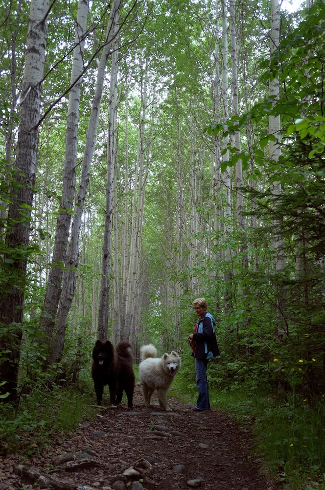 BaikalYeti