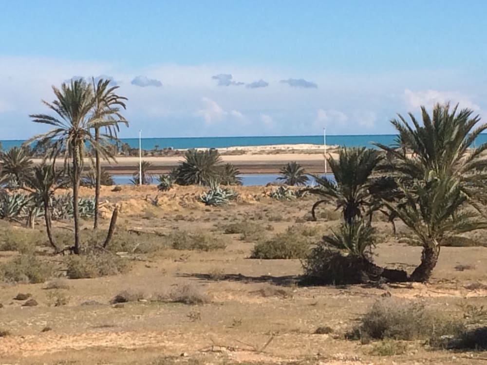 Dar Jasmin Djerba