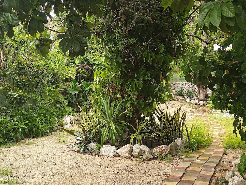 Casa Hostal Mamey - Hostel view 3