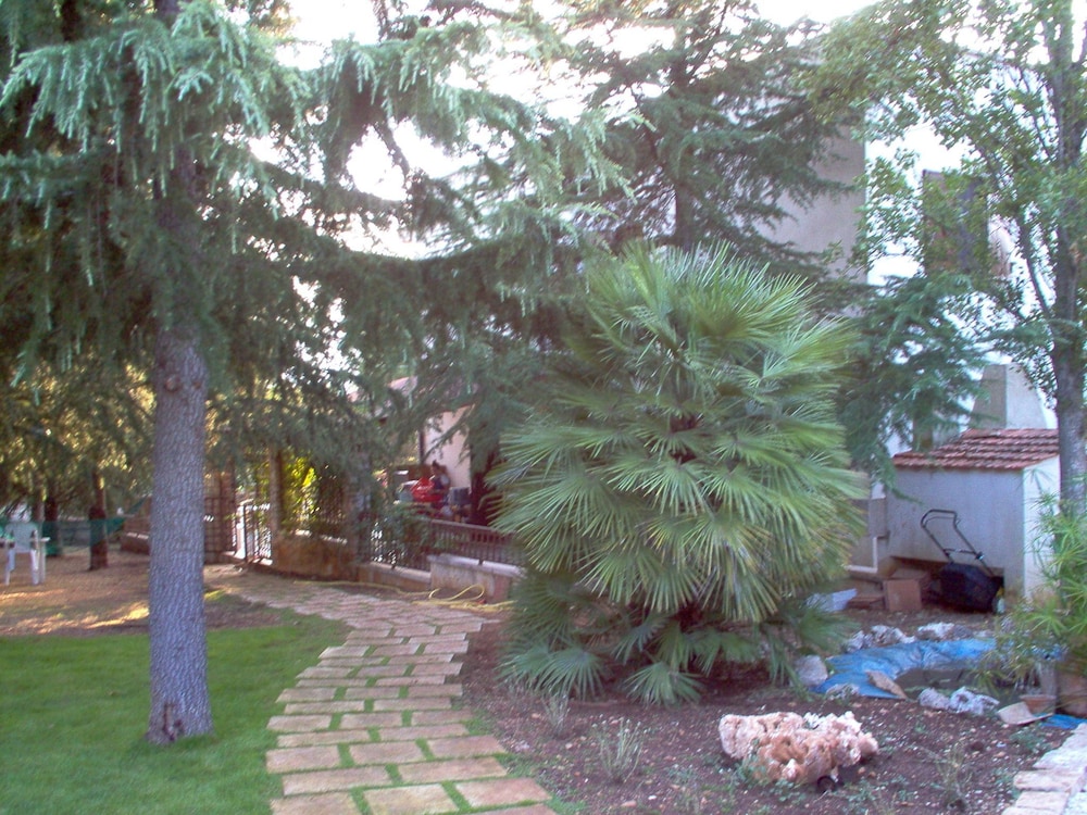 Photo 63