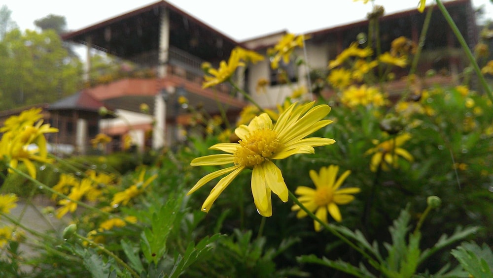 Altocerro Villas Hotel & Camping