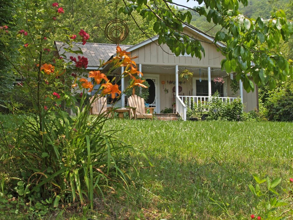 Henson Cove Place B&B with Cabin