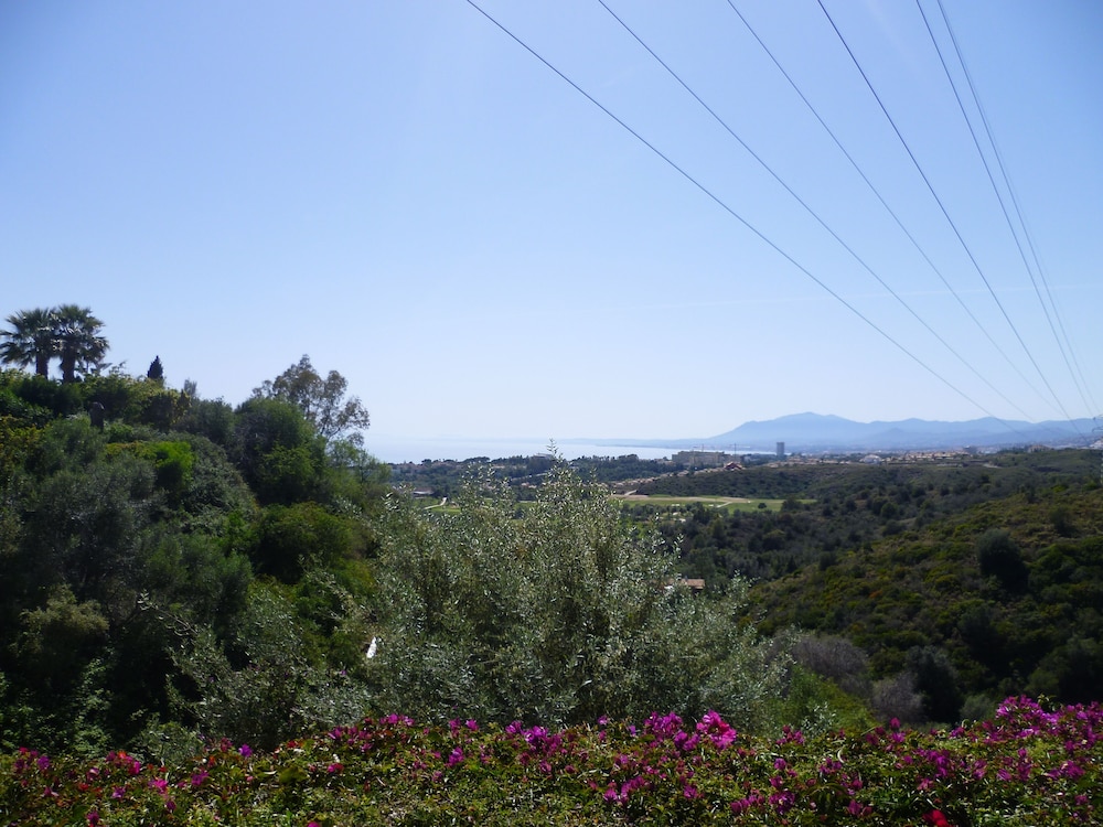 Photo 31