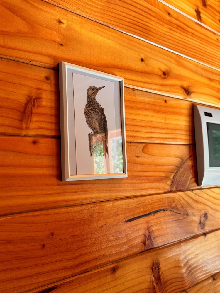 Hostal Treile