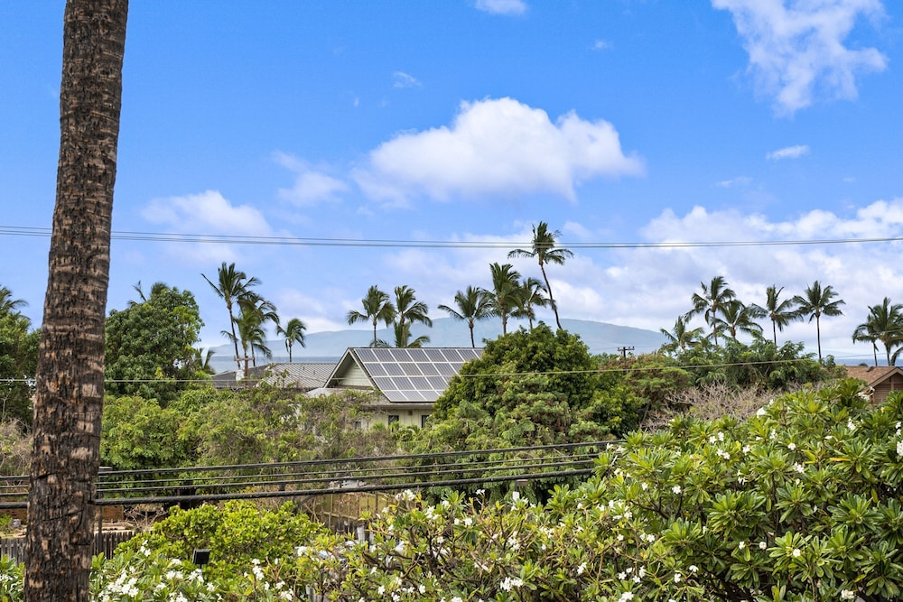 Maui Vista 1-308 - Steps From the Beach, Renovated, Ocean Views, New Windows, AC