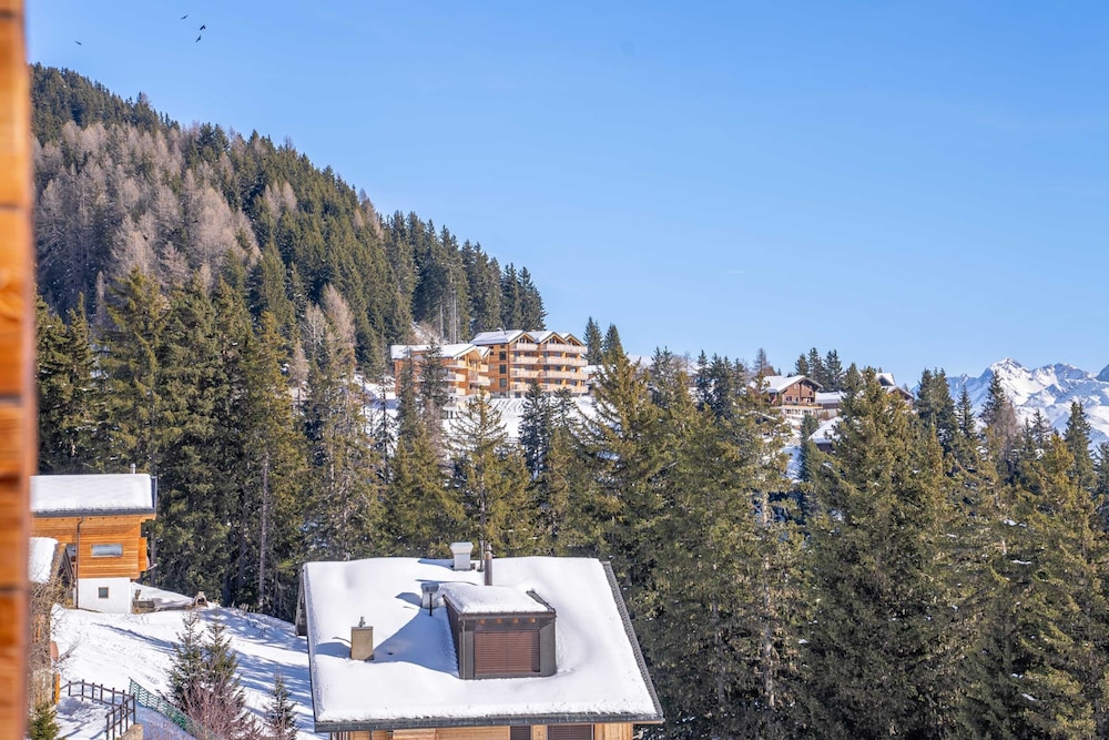 Chalet Elsa