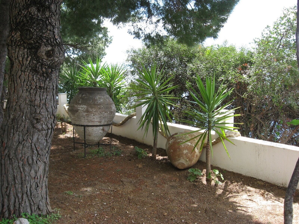 Photo 22