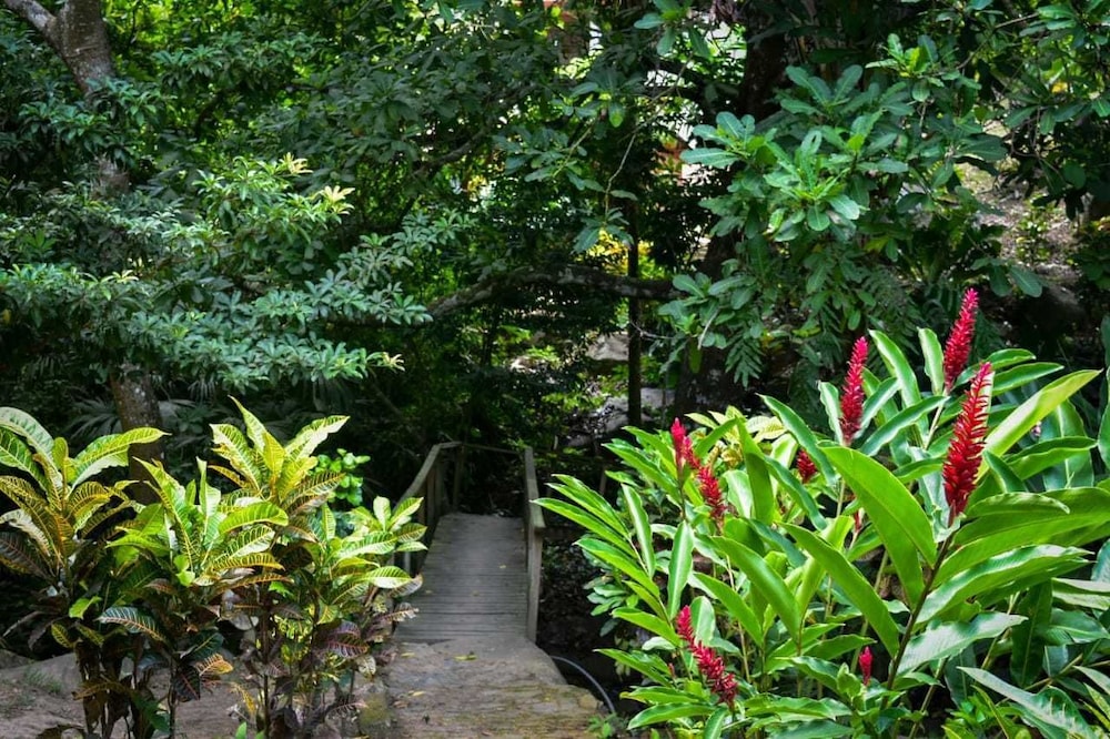 Ecohabs Bosques del Tayrona
