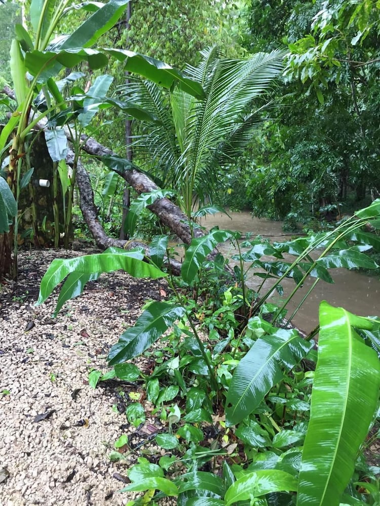 Palenque Vacations - Hotel Paraso Inn - Property Image 1