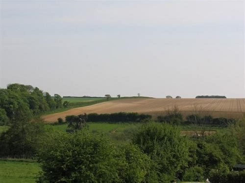Photo 49