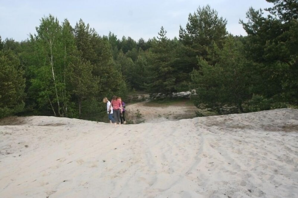 Ferienparadies Waldidylle