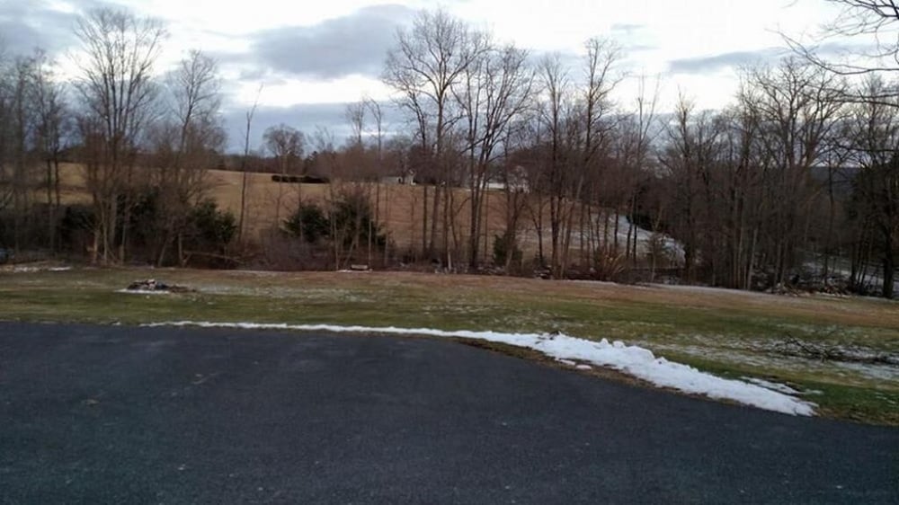 Locust Tree Bed and Breakfast LLC