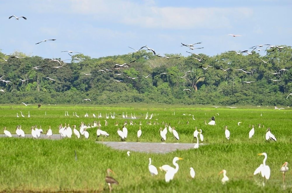 Caño Negro Wetlands Lodge