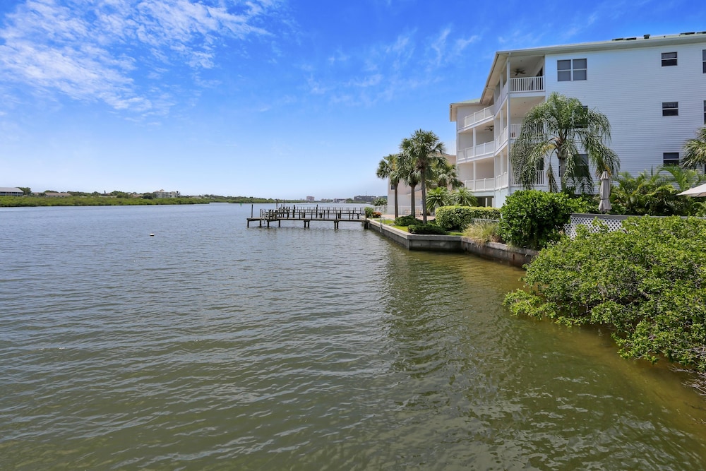 Sea Shell 24