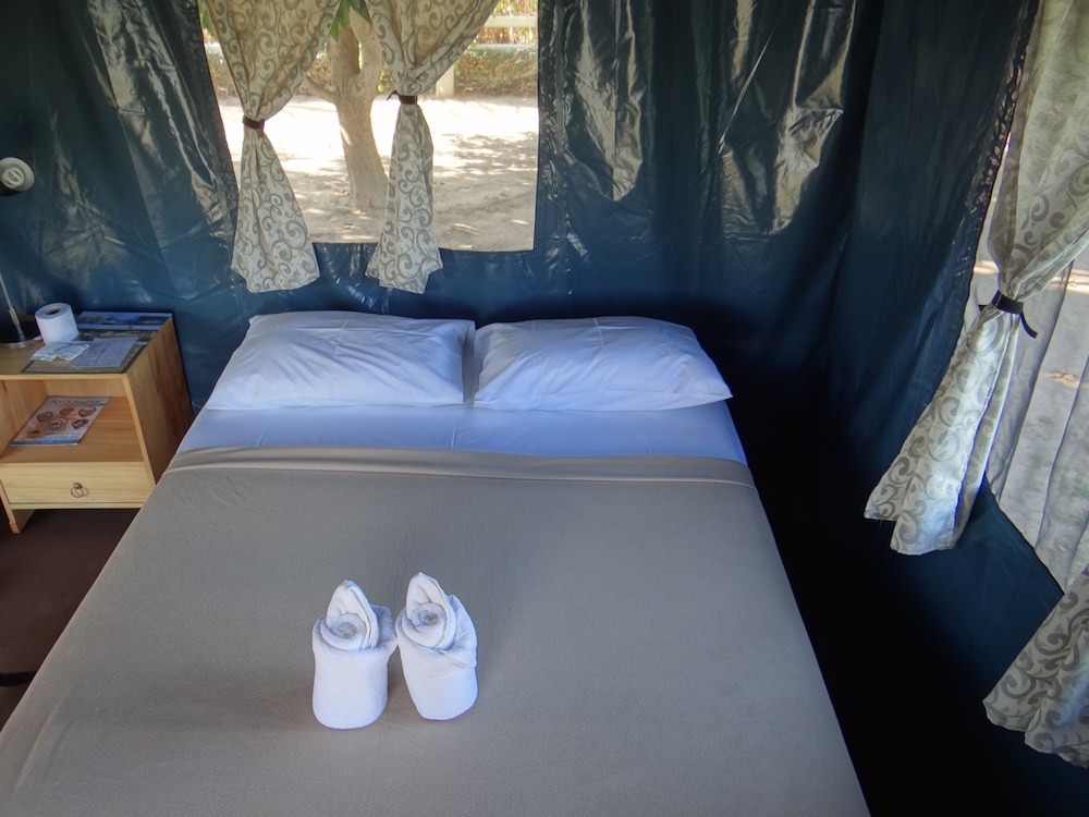 The Camping Field