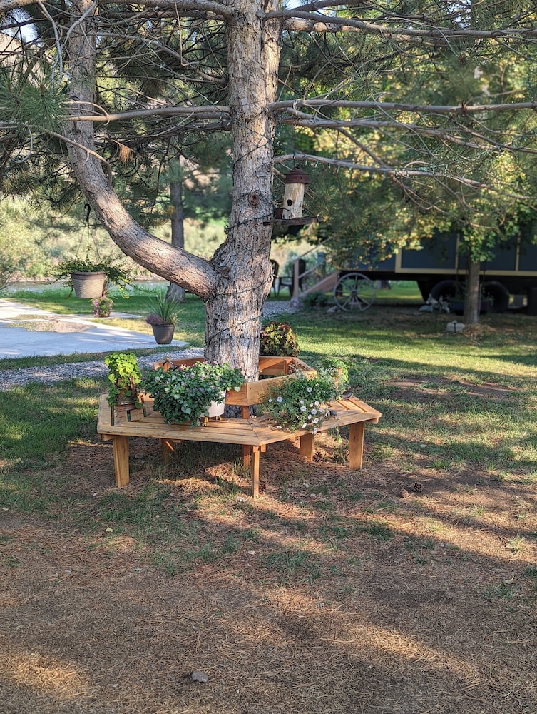 Salmon Gypsy Bed and Breakfast