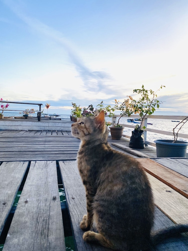 Amina Holidays