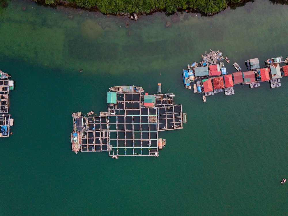 Heritage Line Violet cruise – Ha Long Bay & Lan Ha Bay