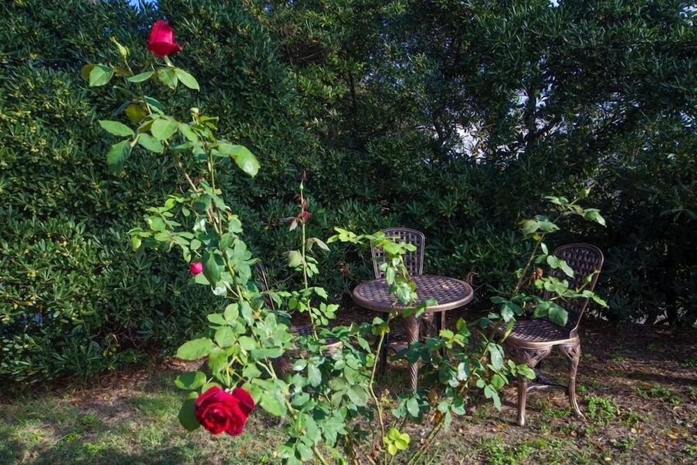 Villa Otium Bed & Breakfast