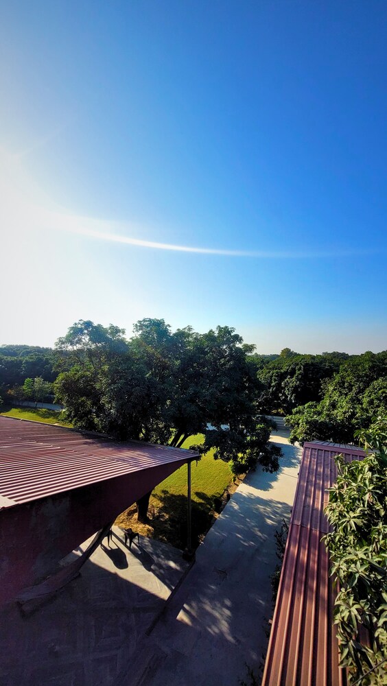 The Greenwich Resort
