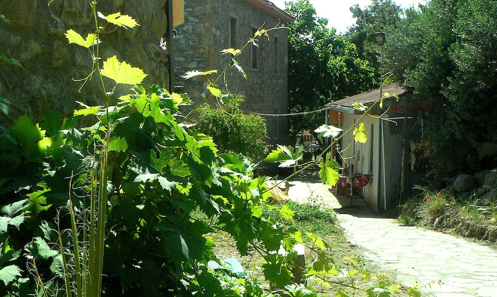 Photo 48