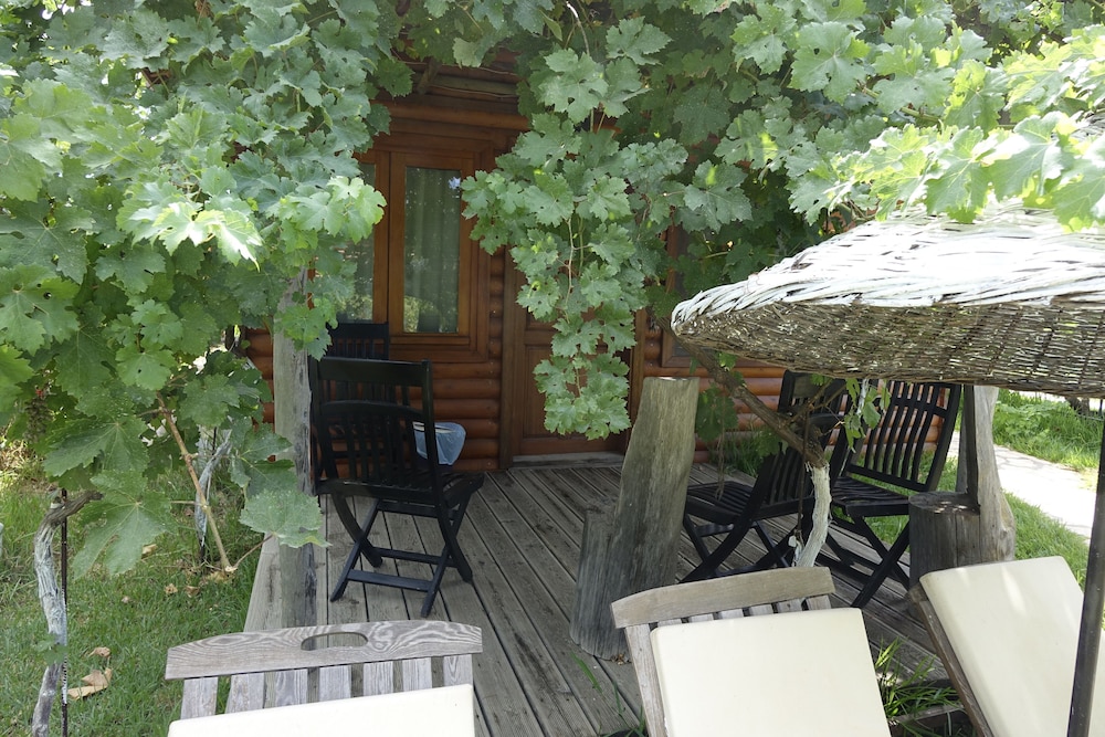 Photo 14