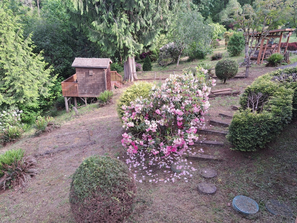MapleRidge House: A BnB For All Seasons!