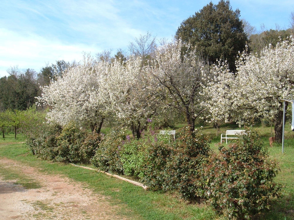 Borgognano Farm House