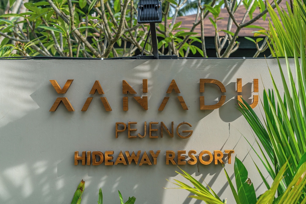Xanadu - 5BR Ubud Designer Villa, Pool with Rice Fields Views