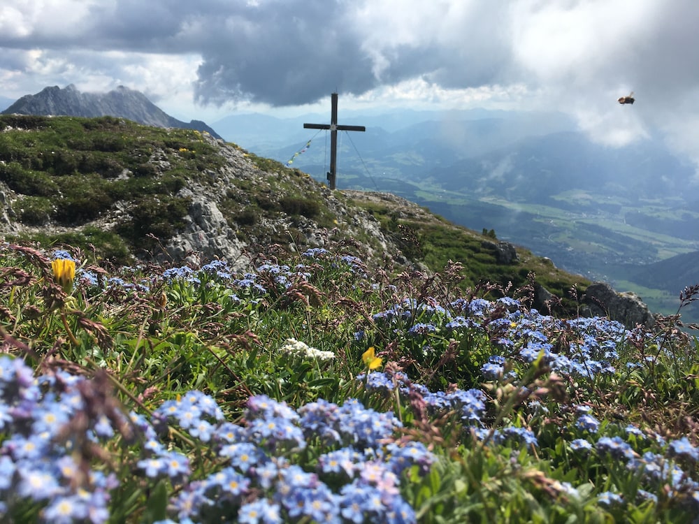 Schachneralm
