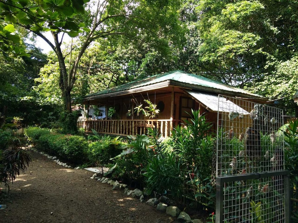 Nelly's Nipa hut